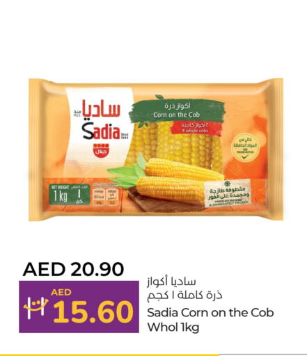 زيت الزنجبيل available at لولو هايبرماركت in الإمارات العربية المتحدة , الامارات - أم القيوين‎