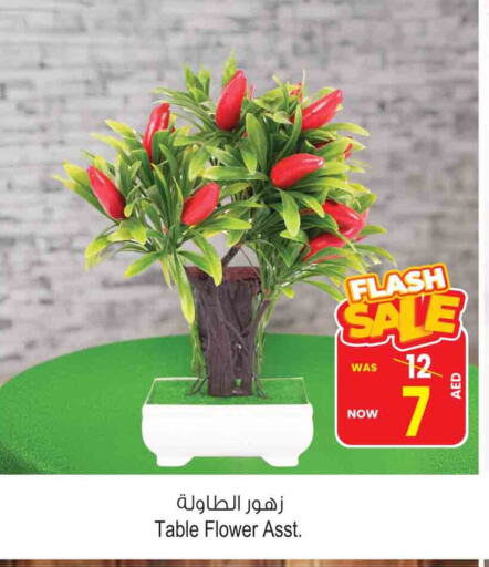 available at أنصار جاليري in الإمارات العربية المتحدة , الامارات - دبي