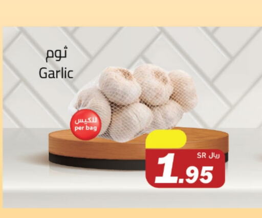 Garlic available at Supermarket Stor in KSA, Saudi Arabia, Saudi - Riyadh