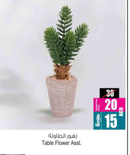 available at أنصار جاليري in الإمارات العربية المتحدة , الامارات - دبي