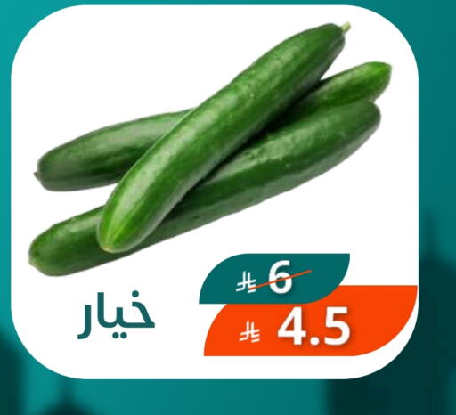 خيار from Saudi Arabia available at سعودى ماركت in مملكة العربية السعودية, السعودية, سعودية - مكة المكرمة