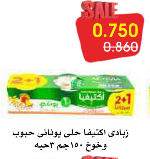 Yoghurt available at Al Rawda & Hawally Coop Society in Kuwait - Kuwait City