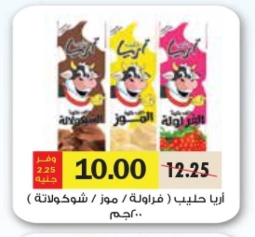 Flavoured Milk available at Royal House in Egypt - Cairo