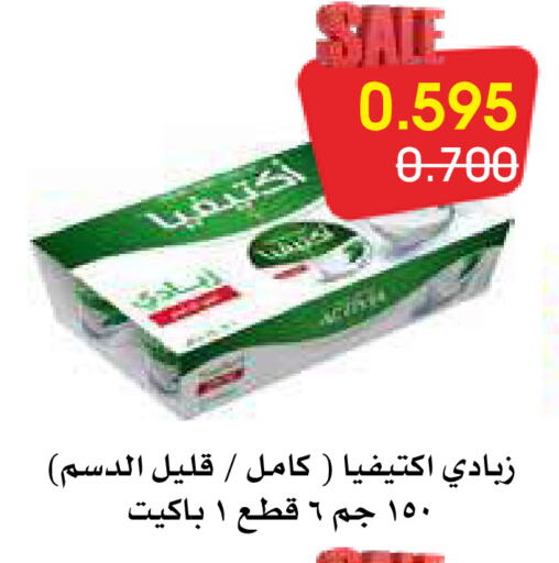 Yoghurt available at Al Rawda & Hawally Coop Society in Kuwait - Kuwait City