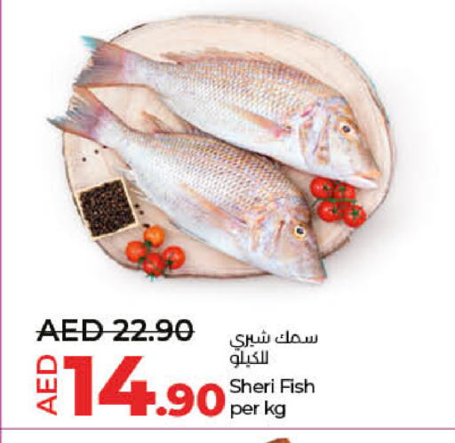 available at لولو هايبرماركت in الإمارات العربية المتحدة , الامارات - أم القيوين‎