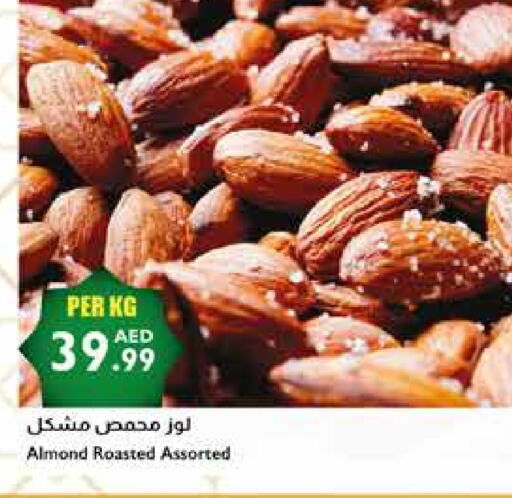 available at Istanbul Supermarket in UAE - Sharjah / Ajman