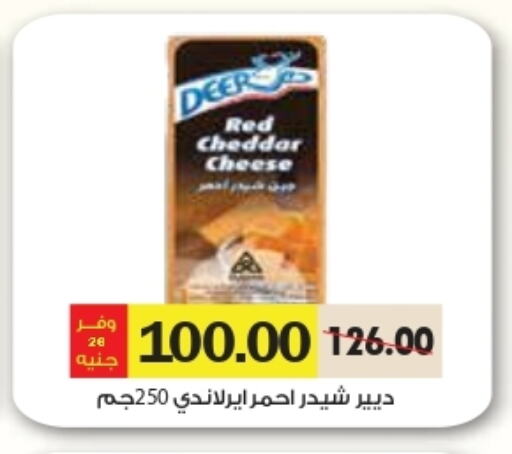 Cheddar Cheese available at Royal House in Egypt - Cairo