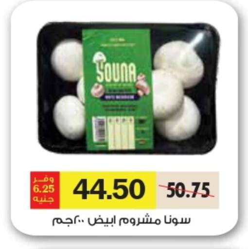 available at رويال هاوس in Egypt - القاهرة