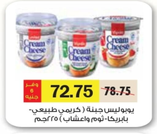 Cream Cheese available at Royal House in Egypt - Cairo