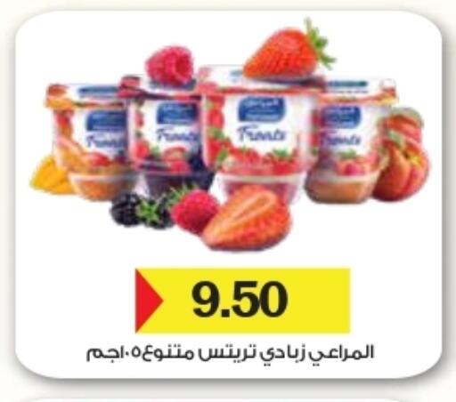 ALMARAI Yoghurt available at Royal House in Egypt - Cairo