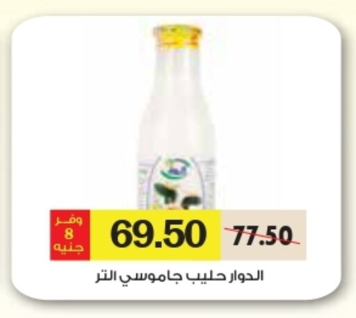 available at رويال هاوس in Egypt - القاهرة