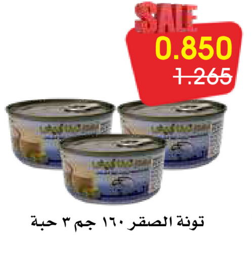 تونة - معلب available at جمعية الروضة وحولي التعاونية in الكويت - مدينة الكويت