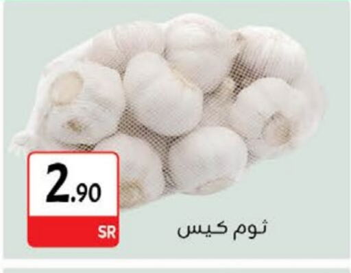 Garlic available at M B S S in KSA, Saudi Arabia, Saudi - Medina