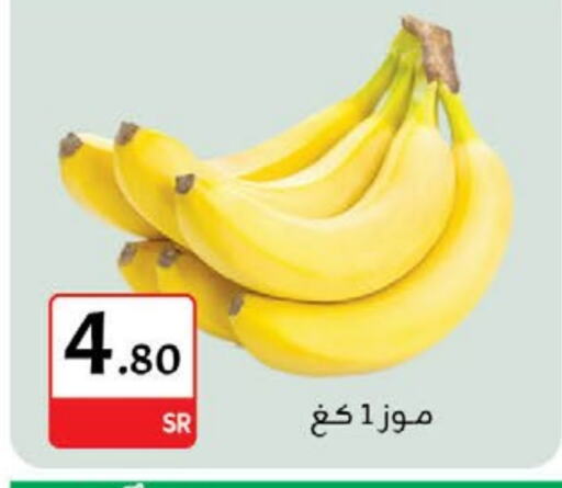 Banana available at M B S S in KSA, Saudi Arabia, Saudi - Medina