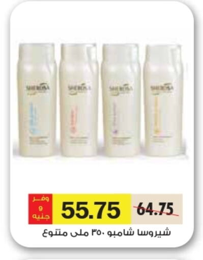 Shampoo / Conditioner available at Royal House in Egypt - Cairo