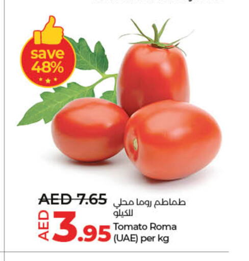 Tomato available at Lulu Hypermarket in UAE - Umm al Quwain