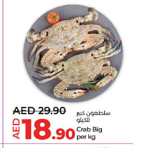 available at لولو هايبرماركت in الإمارات العربية المتحدة , الامارات - أم القيوين‎