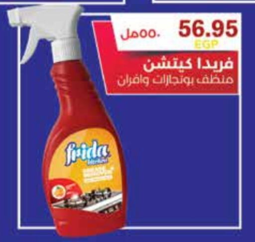 General Cleaner available at Royal House in Egypt - Cairo