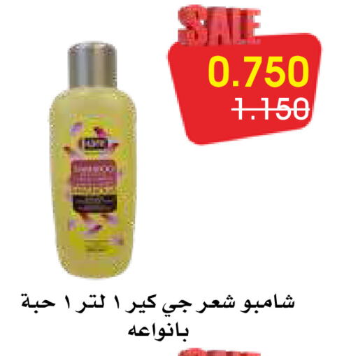 شامبو / بلسم available at جمعية الروضة وحولي التعاونية in الكويت - مدينة الكويت