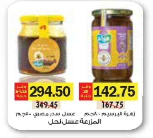 Honey available at Royal House in Egypt - Cairo