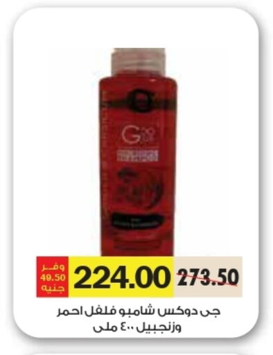 Shampoo / Conditioner available at Royal House in Egypt - Cairo