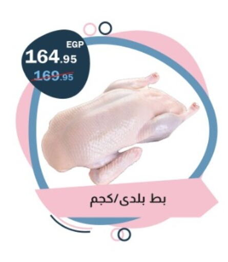 available at فلامنجو هايبرماركت in Egypt - القاهرة