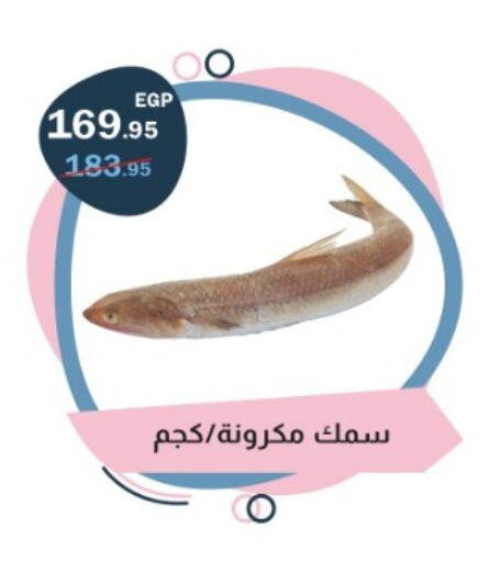 available at فلامنجو هايبرماركت in Egypt - القاهرة