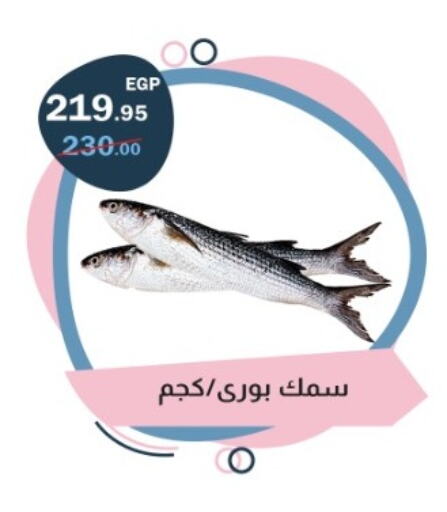 available at فلامنجو هايبرماركت in Egypt - القاهرة