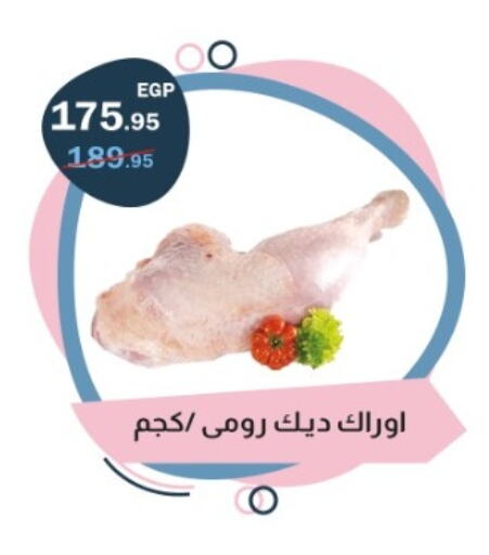 available at فلامنجو هايبرماركت in Egypt - القاهرة