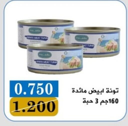 تونة - معلب available at جمعية البيان التعاونية in الكويت - مدينة الكويت