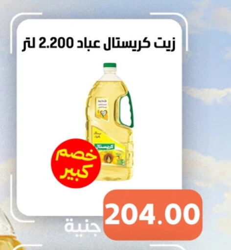 available at سوق غلاب in Egypt - القاهرة