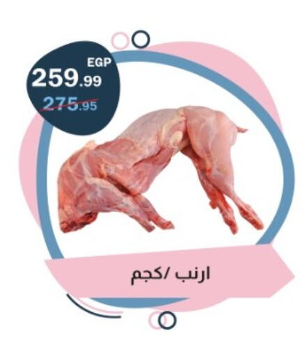 available at فلامنجو هايبرماركت in Egypt - القاهرة