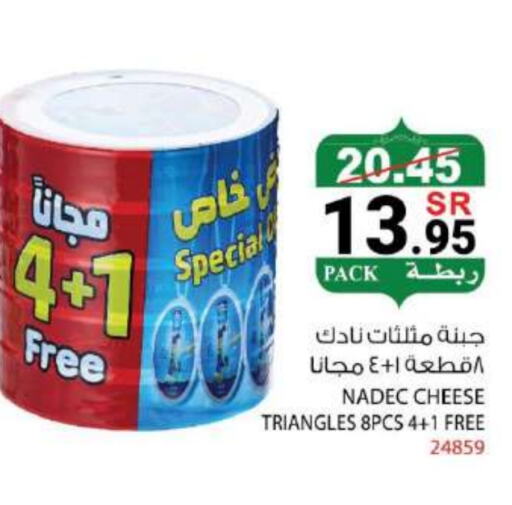 NADEC Triangle Cheese available at House Care in KSA, Saudi Arabia, Saudi - Mecca