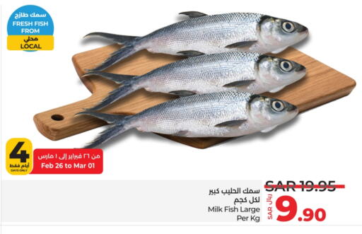 available at LULU Hypermarket in KSA, Saudi Arabia, Saudi - Hafar Al Batin