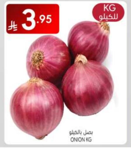 Onion available at Manuel Market in KSA, Saudi Arabia, Saudi - Riyadh