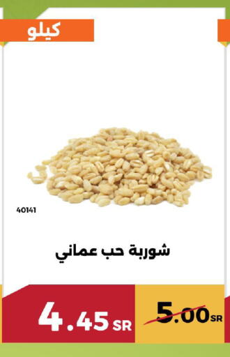 available at حدائق الفرات in مملكة العربية السعودية, السعودية, سعودية - مكة المكرمة