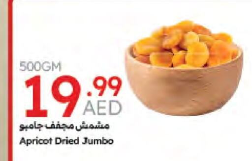 Apricot available at جمعية الامارات التعاونية in الإمارات العربية المتحدة , الامارات - دبي