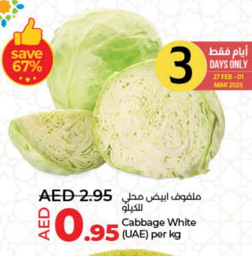 Cabbage available at Lulu Hypermarket in UAE - Umm al Quwain