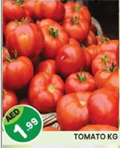 Tomato available at Baniyas Spike  in UAE - Abu Dhabi