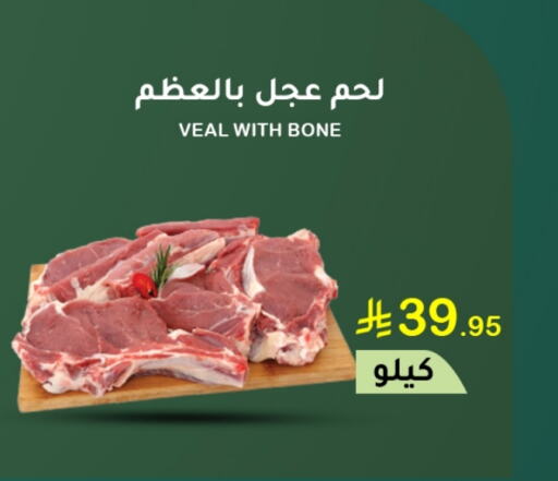 لحم عجل available at الهاجري الأغذية in مملكة العربية السعودية, السعودية, سعودية - أبها