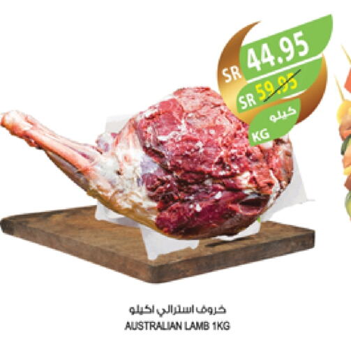 Mutton / Lamb available at Farm  in KSA, Saudi Arabia, Saudi - Dammam