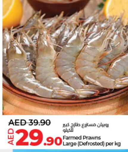 available at لولو هايبرماركت in الإمارات العربية المتحدة , الامارات - أم القيوين‎