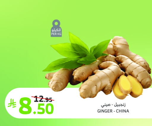 زنجبيل from China available at الراية in مملكة العربية السعودية, السعودية, سعودية - جدة