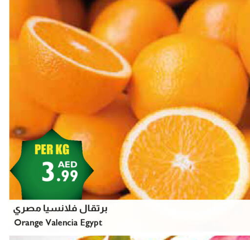 برتقال from Egypt available at إسطنبول سوبرماركت in الإمارات العربية المتحدة , الامارات - دبي