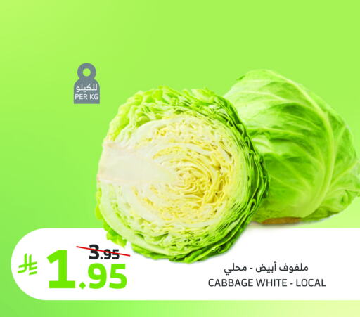 Cabbage available at Al Raya in KSA, Saudi Arabia, Saudi - Jeddah