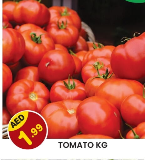 Tomato available at Baniyas Spike  in UAE - Abu Dhabi