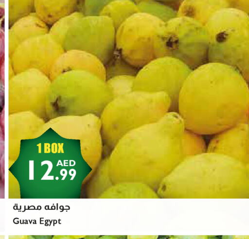 جوافة from Egypt available at إسطنبول سوبرماركت in الإمارات العربية المتحدة , الامارات - أبو ظبي