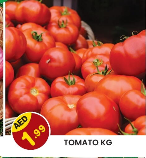 Tomato available at Baniyas Spike  in UAE - Sharjah / Ajman