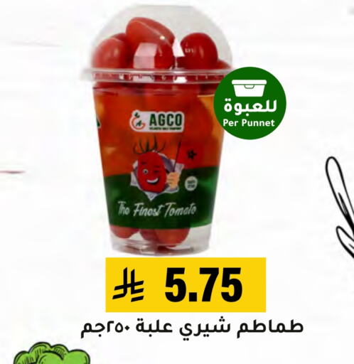 Tomato available at Al Amer Market in KSA, Saudi Arabia, Saudi - Al Hasa