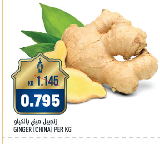 Ginger from China available at Oncost in Kuwait - Jahra Governorate